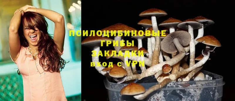 где купить наркотик  Наволоки  Псилоцибиновые грибы Cubensis 